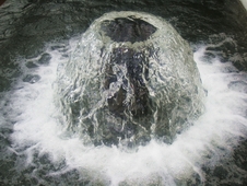 furaj de pastrav