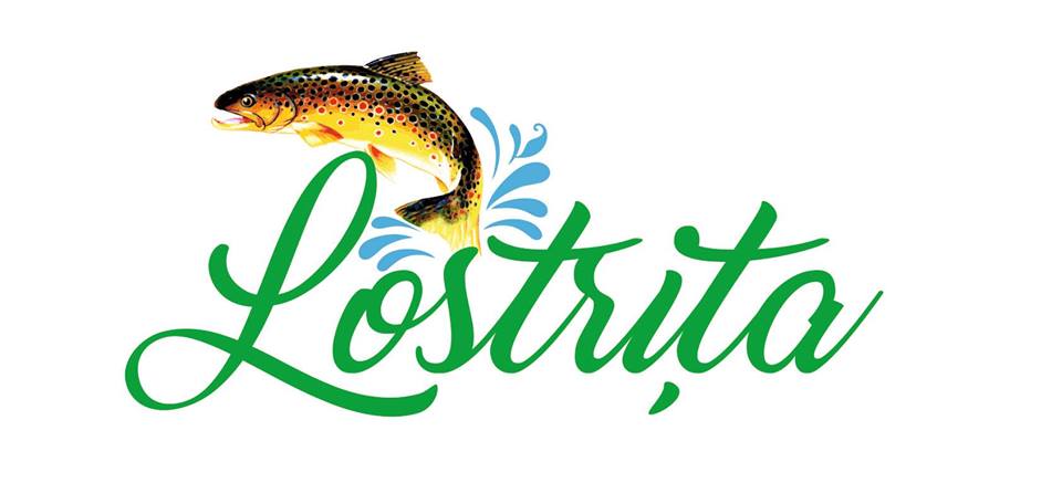 Lostrita - Cazare ieftina in Baia Mare